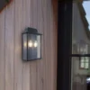 Lutec Holly Outdoor Wall Lantern - Black -Outdoor Lights Store 12840506 1534952656944735
