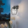 EGLO Canove Caged Exterior Wall Light -Outdoor Lights Store 12881609 1344952642848386