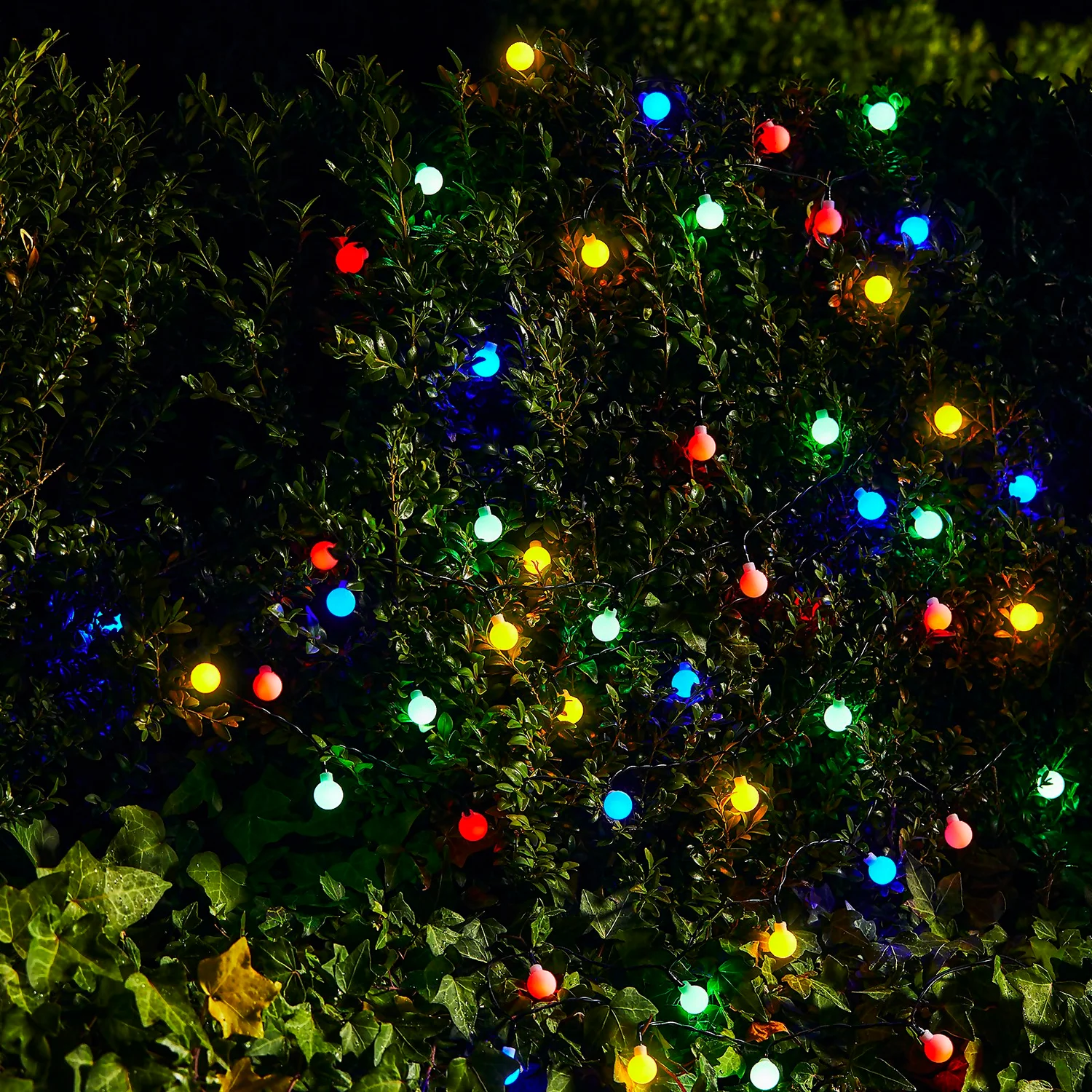 Homebase Edit 50 Solar Berry Lights 3 Homebase Edit 50 Solar Berry Lights